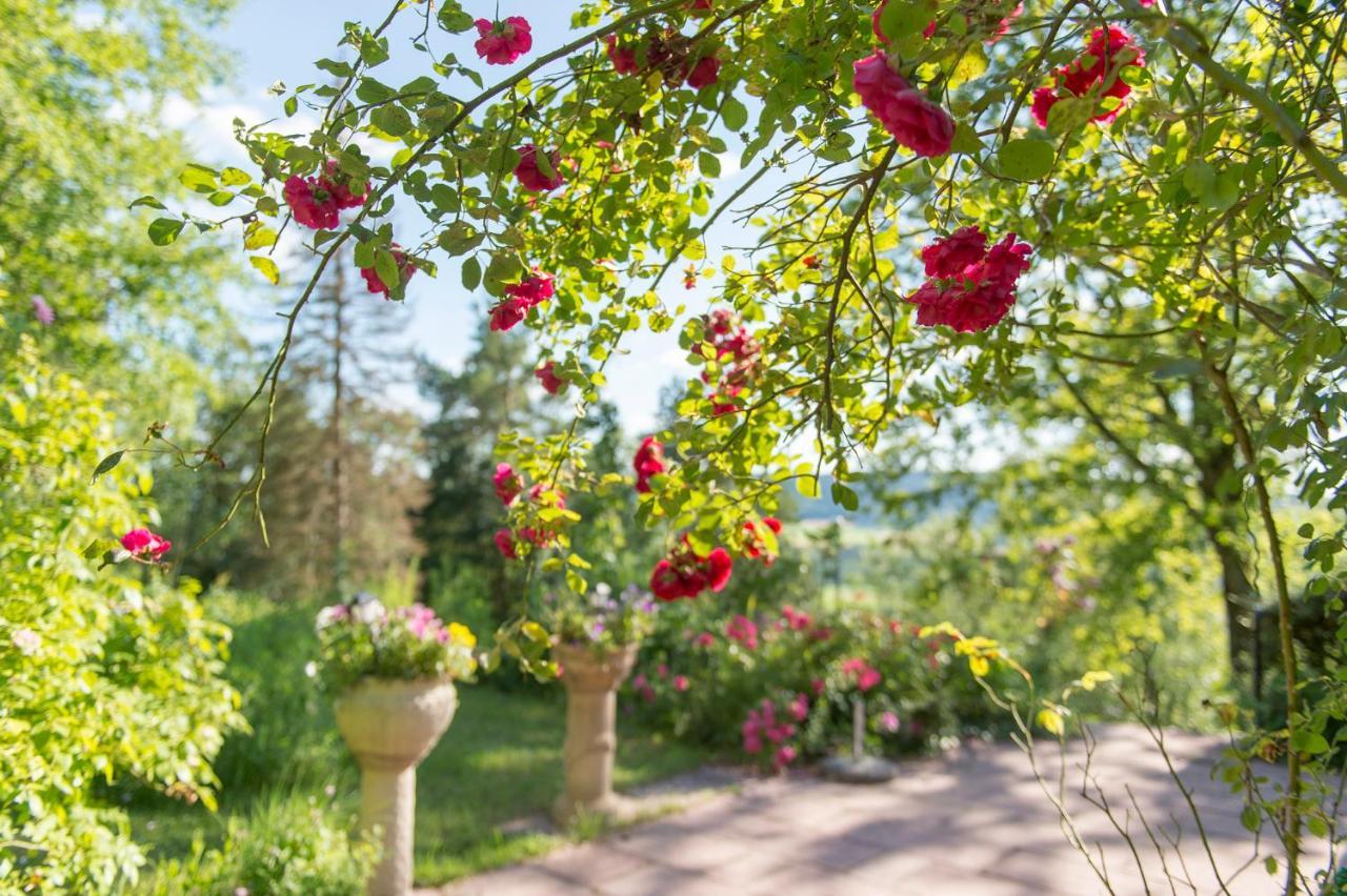 Ferienhaeuschen Sans Pareille Bei Bayreuth Villa Hartmannsreuth Kültér fotó